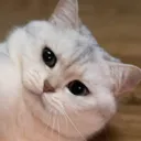 sososoya