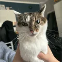 hixagon