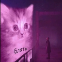 avatar マムット・ラハル