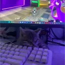 chizuedai_