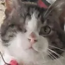 kopiujetwojewiadomosci avatar