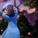 anizxsshs