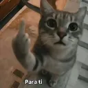 josegabrielgc09