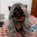 avatar avo