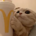 impavelt