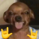 avatar ᴬᵇˢᵒˡᵘᵗᵉ