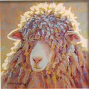 woolblocks