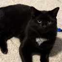 avatar insideoutcoconut