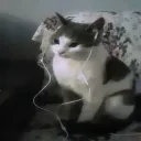 tr_pz