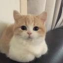 avatar We were too close to the stars