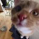 zwrgnse