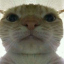 avatar Marowan