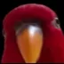 superfalconx5525