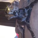 magical_possum_21656