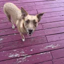 sallymumble