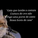 alberijunior