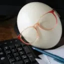 randomegg