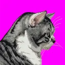 siron_sleep