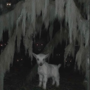 avatar не линкуй меня,уебище