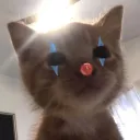 damarishs