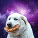 doggoisgone