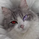 thescariestproject
