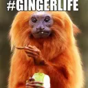 bigredsage