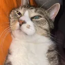 gsenloopy