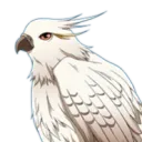 c.falcon