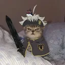 uurazil_