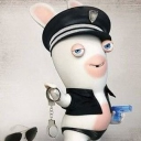 avatar 𝔉𝔯𝔢𝔡𝔷𝔦𝔞 ♱