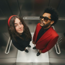 avatar αɴdreα ﾒ𝟶