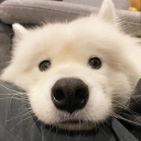 avatar ไม่ได้อยากล่าเหยื่อ