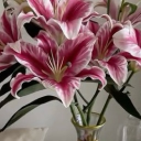 avatar 𝙀𝙨𝙧𝙖 ❀