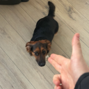 avatar Semm Harris 𓅡