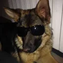 jabaaaari