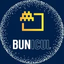 paulionut