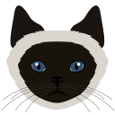 user82jkt278's Avatar