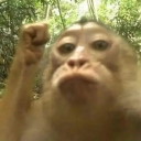 avatar Solo _mich 🦥