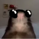 iframbu avatar