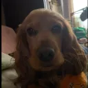 Аватар qwatick