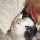 avatar 𝔇𝔶𝔳𝔞𝔦