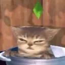 _aonaen_