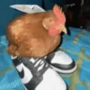 fbixshark