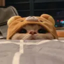 sophi_a