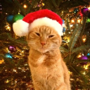 avatar Bob the Juicer