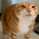 avatar Bob the Juicer