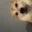 itali_1