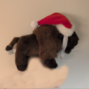 avatar AmouldyBuffalo