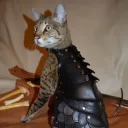 maximusonslaught